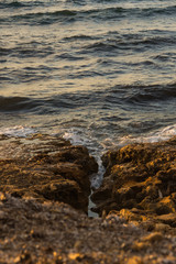 Scogliera sul mare