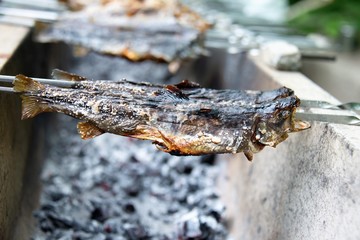 岩魚塩焼き