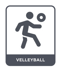 velleyball icon vector