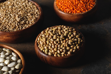Fototapeta premium soybean, lentils and oat groats in wooden bowls on table