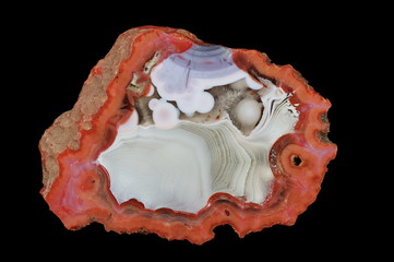A cross-section of agate. A cross-section of agate. In the center a white chalcedony is interwoven...