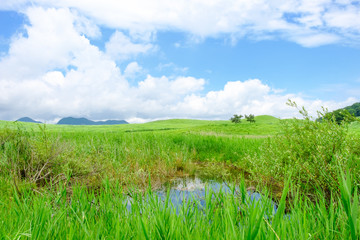 夏の曽爾高原