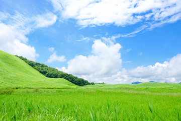 Obraz premium 夏の曽爾高原