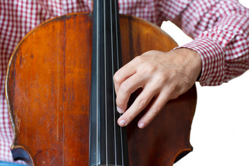 Cello playing cellist hands close up orchestra instruments Isolated image on white background.