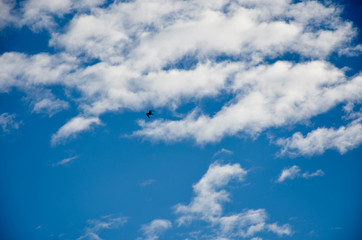 blue sky with clouds