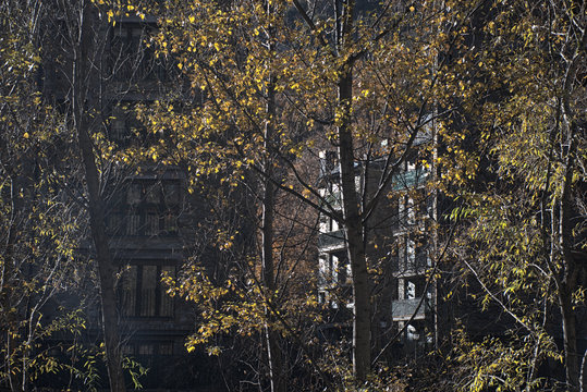 Arboles en frente de un edificio residencial en Andorra. Hojas de otoño.