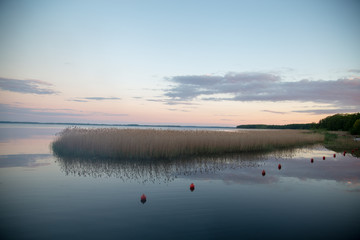 trzciny na jeziorze, zachód słońca © Arkadiusz