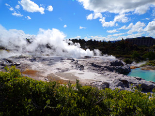 Gejzer Pohutu w parku geotermalnym Te Puia. Rotorua, nowa Zelandia