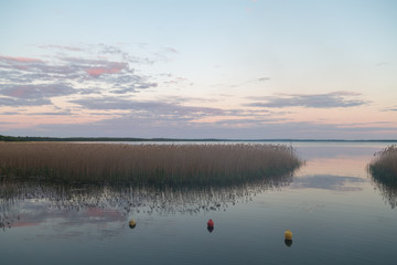 trzciny na jeziorze, zachód słońca © Arkadiusz