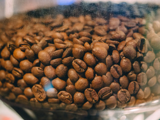 Coffee beans in professional machine in cafe bar restaurant