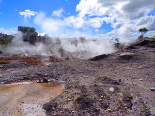 Opary wodne w parku geotermalnym Te Puia / Rotorua, Nowa Zelandia - obrazy, fototapety, plakaty