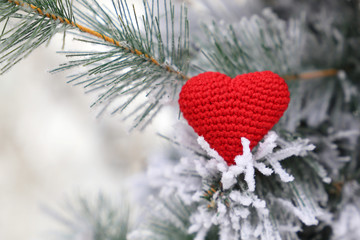 Fototapeta premium Red knitted heart in the snow on fir branches, Merry Christmas card. Concept of New Year celebration or Valentine's day, symbol of romantic love, winter weather