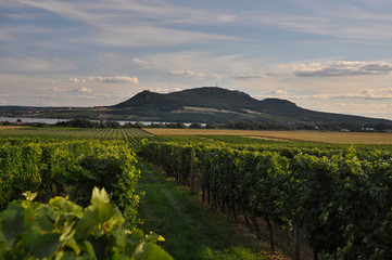 view of a mountain landscape