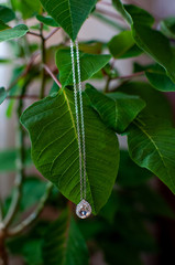 Pendant hanging on the green leaf