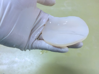 Bacterial cellulose produced by acetic acid bacteria from coconut water