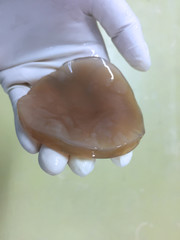 Bacterial cellulose boiled by NaOH  