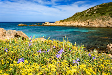 Fototapeta krajobrazy Sardynii obraz