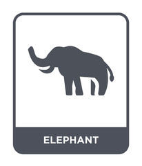 elephant icon vector