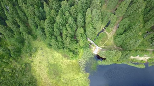 A dark blue lake almost touches the beginning of the forest. Nature is really fascinating and especially beautiful and alive at this time of the year.