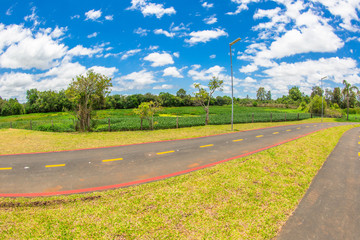 Nature park blue sky
