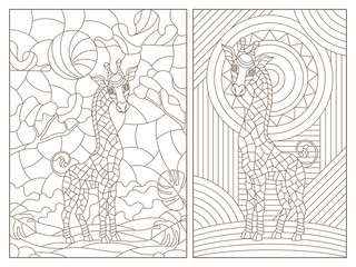 Fototapeta na wymiar Set of contour illustrations of stained glass Windows with lions, dark contours on a white background