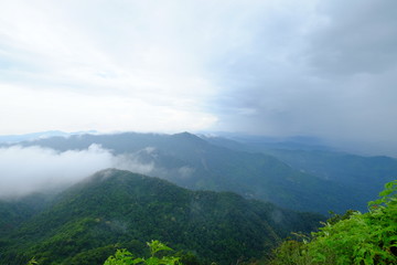 View of the cloud and green mountains from the high altitude