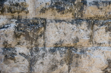 texture a background from natural material a stone