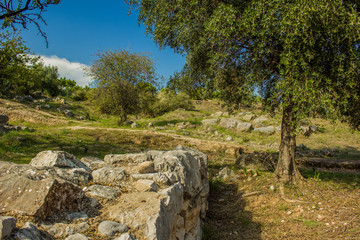park outdoor outskirts space environment with old destroyed stone wall ruins exterior landscape design and trees in clear bright summer weather time