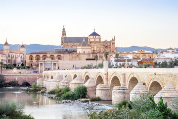 Fototapeta na wymiar Roman bridge and cathedral - mosque by the river in Cordoba, Andalusia, Spain