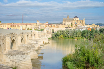 Obraz premium Roman bridge and cathedral - mosque by the river in Cordoba, Andalusia, Spain