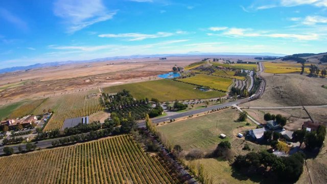 Aerial View Above Vineyards in Sonoma County California