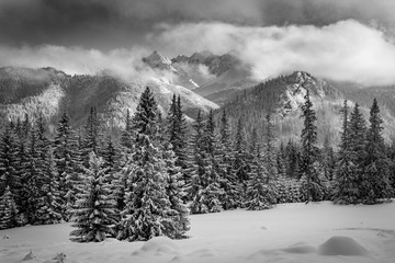 Winter in the Tatra Mountains. Rusinowa Glade.