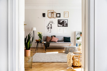 Posters above couch with cushions in white apartment interior with plant next to carpet. Real photo