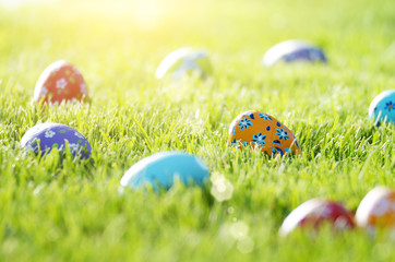 Easter eggs lying on green spring grass