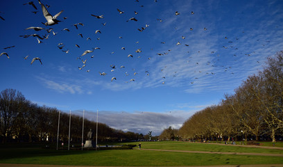 Szczecin "Jasne Błonia" © konik60
