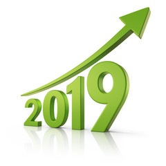 2019 Growth forecast concept