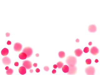 Pink rose petals falling valentine background.
