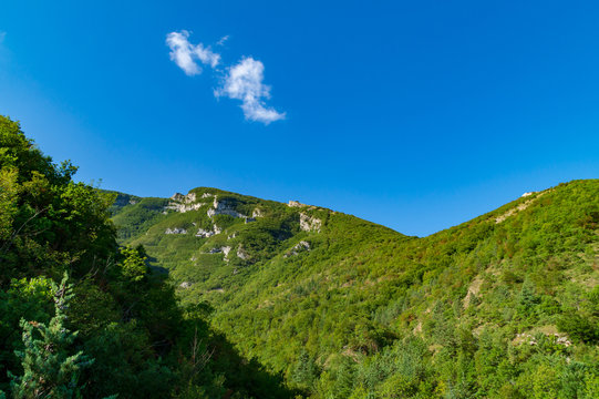 Nerone Bilder Durchsuchen 1,021 Archivfotos, und