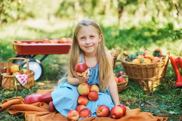 Girl with Apple in the Apple Orchard. Beautiful Girl Eating Organic Apple in the Orchard. Harvest...