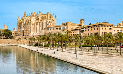 The Cathedral La Seu in Palma de Mallorca
