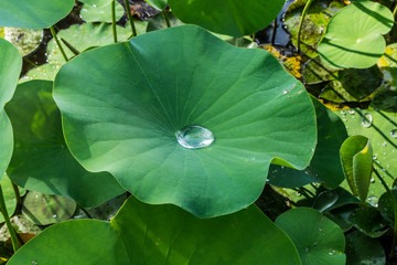 Art of receiving, the cup of abundance, nourish yourself
