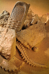 cell phone with stone