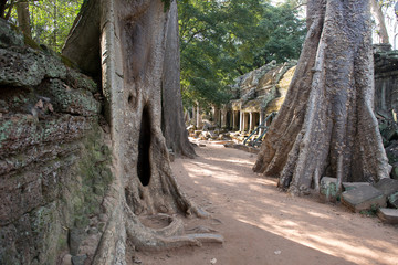 Ta Prohm , Angkor ,  Cambodia, was inscribed on the UNESCO-WHL 1992. The ancient temple where roots of the jungle trees intertwine with the masonry of these ancient structures producing surreal world.