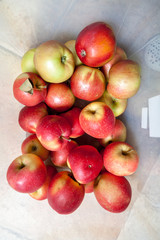 Red ripe apples lie in white container. View from above