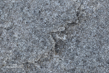 Bakken shale sample, 5x