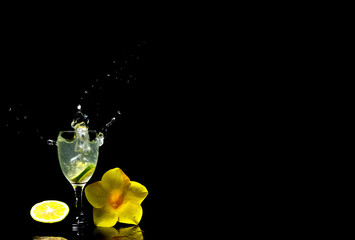 cocktail fres  lime background black