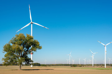 Winkrafträder drehen sich im Wind