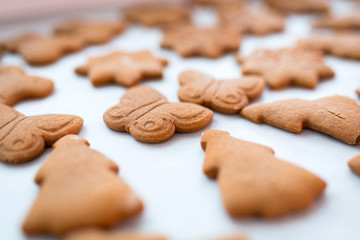 Freshly baked gingerbread cookies for Christmas