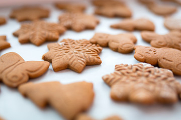 Freshly baked gingerbread cookies for Christmas