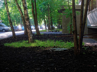 black ground under the Windows of the house 